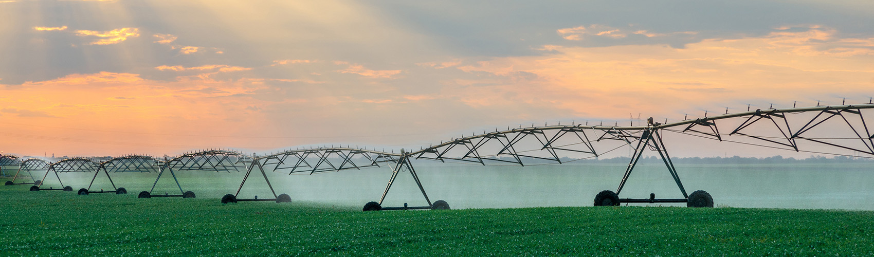 Irrigation system watering