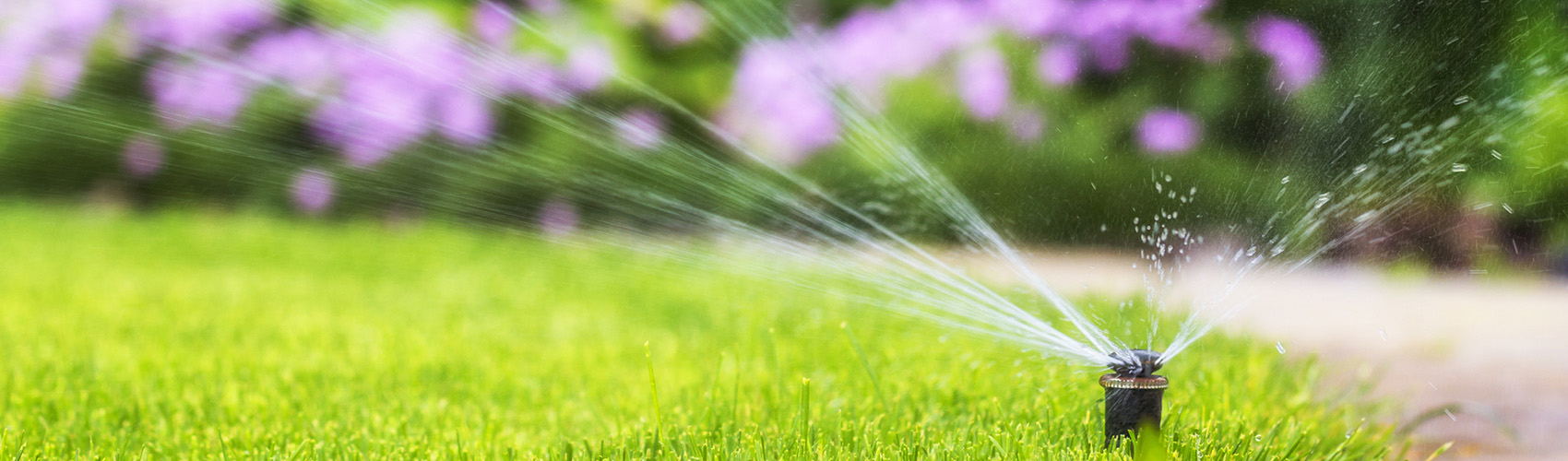 automatic sprinkler system watering the lawn